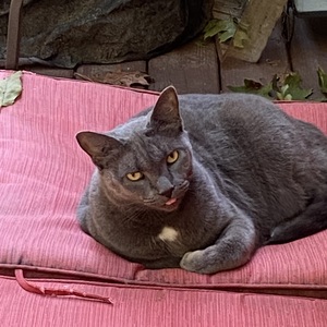 Fundraising Page: Denise Halderman